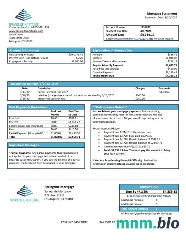 Kredyt hipoteczny USA Springside szablon w formacie excel pdf